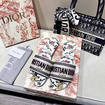Dior Slipper 04
