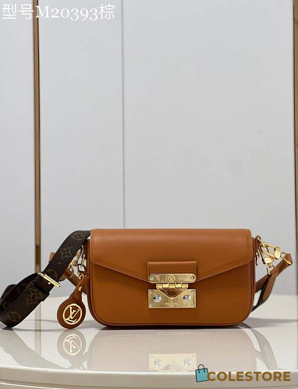 Louis Vuitton Swing Brown Handbag 24cm - 1