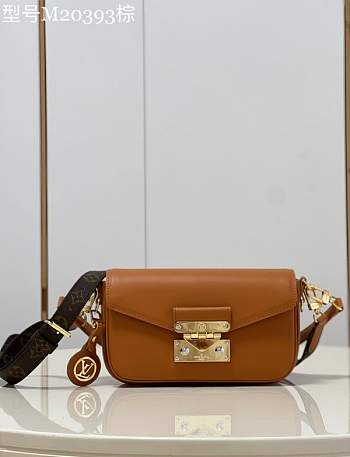 Louis Vuitton Swing Brown Handbag 24cm