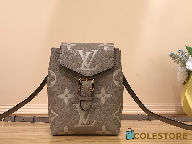 Louis Vuiiton Tiny Backpack Bicolour 19cm - 1