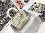 Dior D-lite 24cm - 1