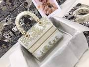 Dior D-lite 24cm - 6