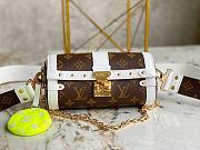 Louis Vuiiton Papillon Trunk Bag 20cm - 1