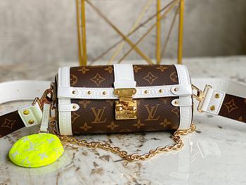 Louis Vuiiton Papillon Trunk Bag 20cm
