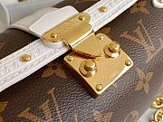 Louis Vuiiton Papillon Trunk Bag 20cm - 5
