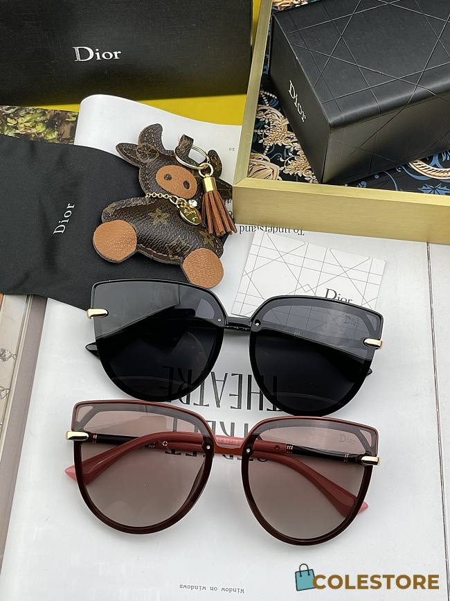 Dior Sunglasses  - 1