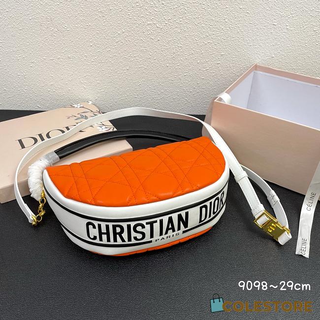 Dior Vibe Hobo Bag Orange 20cm - 1