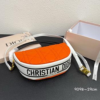 Dior Vibe Hobo Bag Orange 20cm