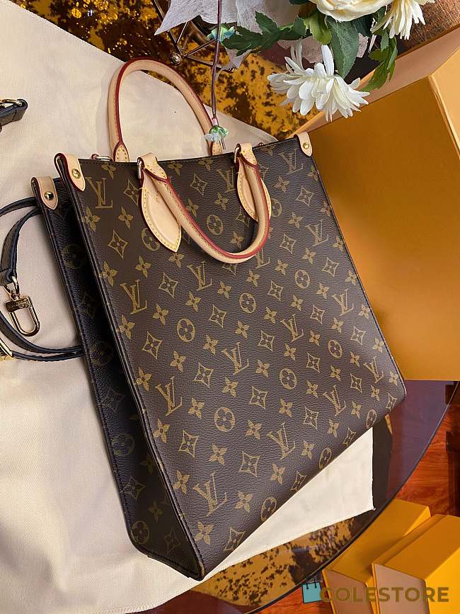 Colestore Louis Vuitton Sac Plat PM Monogram M45848 Size 30x10x31 cm - 1