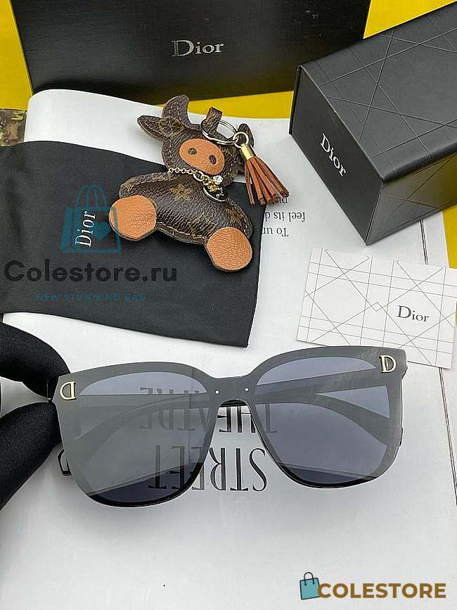 Dior Sunglasses CD808 - 1