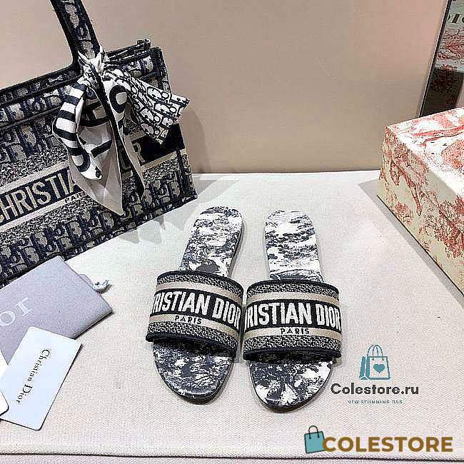 Dior slippers 03 - 1