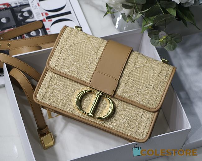 Dior 30 Montaigne Bag Size 24 x 17 x 8cm  - 1