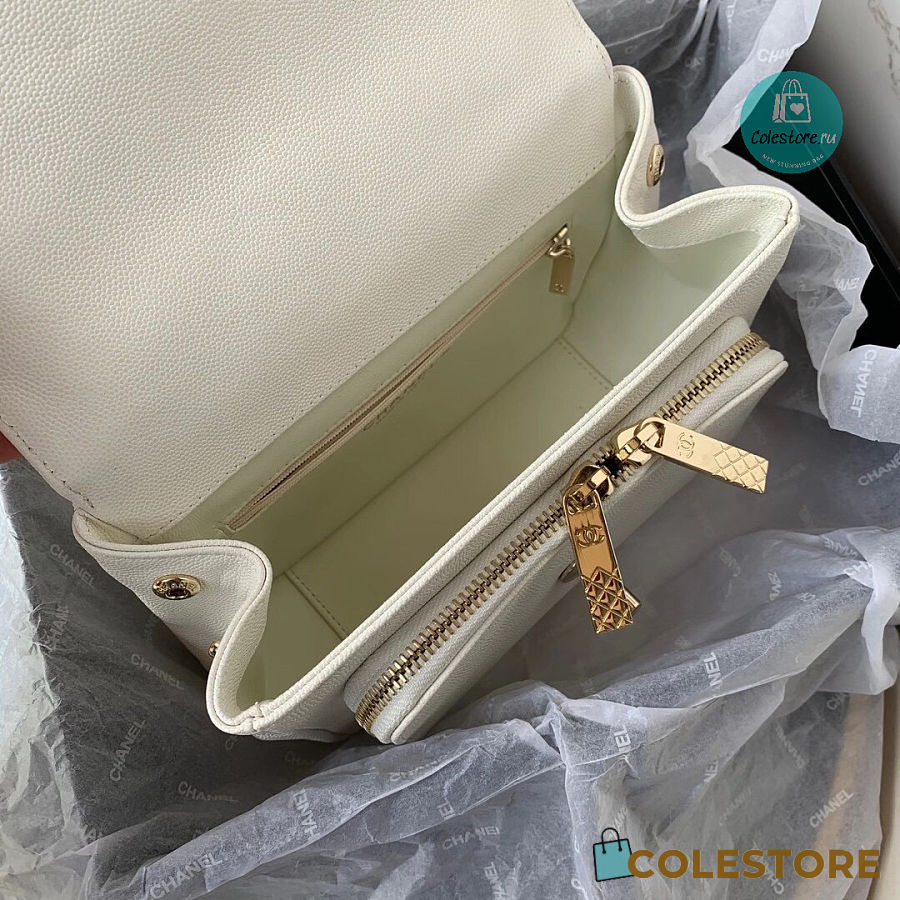 Chanel Mini Flap Bag Gold-Tone White Metal 19x7x14cm - Colestore.Ru