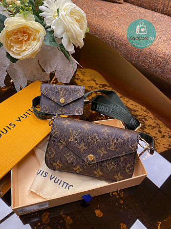 Louis Vuitton Félicie Strap & Go Monogram Canvas M80091 17x9.6x3.5cm