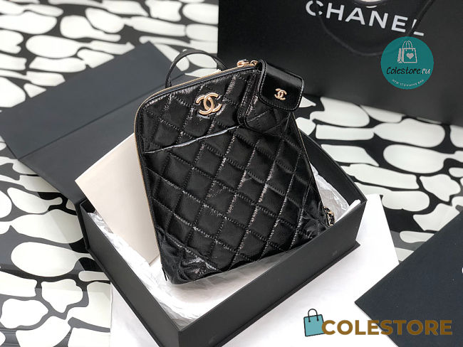 Chanel Women's Bucket Bags 21x23x8 cm - 1