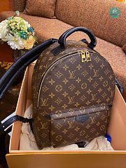 Louis Vuitton Palm Springs Backpack MM Brown Canvas M44874 30x33x16 cm - 1