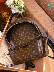 Louis Vuitton Palm Springs Backpack MM Brown Canvas M44874 30x33x16 cm - 2