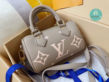 Louis Vuitton Nano Speedy in Grey M81456 16.0x11.0x9.0 cm