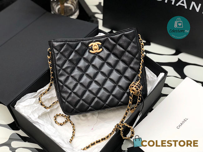 Chanel 22s Hobo Black Bag AS3259 16x19.5x18.5 cm - 1