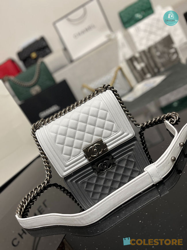 Chanel Boy Flap Bag In White Chervon Calfskin 67085 Size 20cm - 1