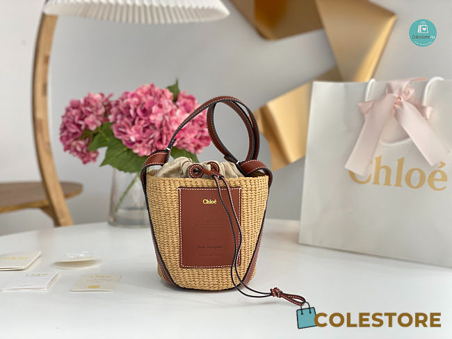Chloé Small bucket bag In Brown 17x16x16cm - 1