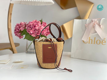 Chloé Small bucket bag In Brown 17x16x16cm