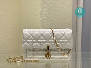 Lady Dior Chain Pouch Latte Cannage Lambskin In White 3105 size 19.5 x 12.5 x 5 cm - 1
