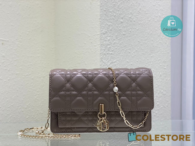Lady Dior Chain Pouch Latte Cannage Lambskin 3105 size 19.5 x 12.5 x 5 cm - 1