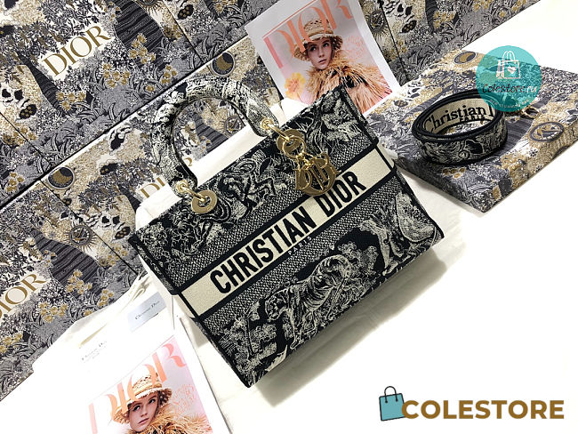cColestore Medium Lady D-Lite Bag M0565 32 x 25 x 11 cm - 1