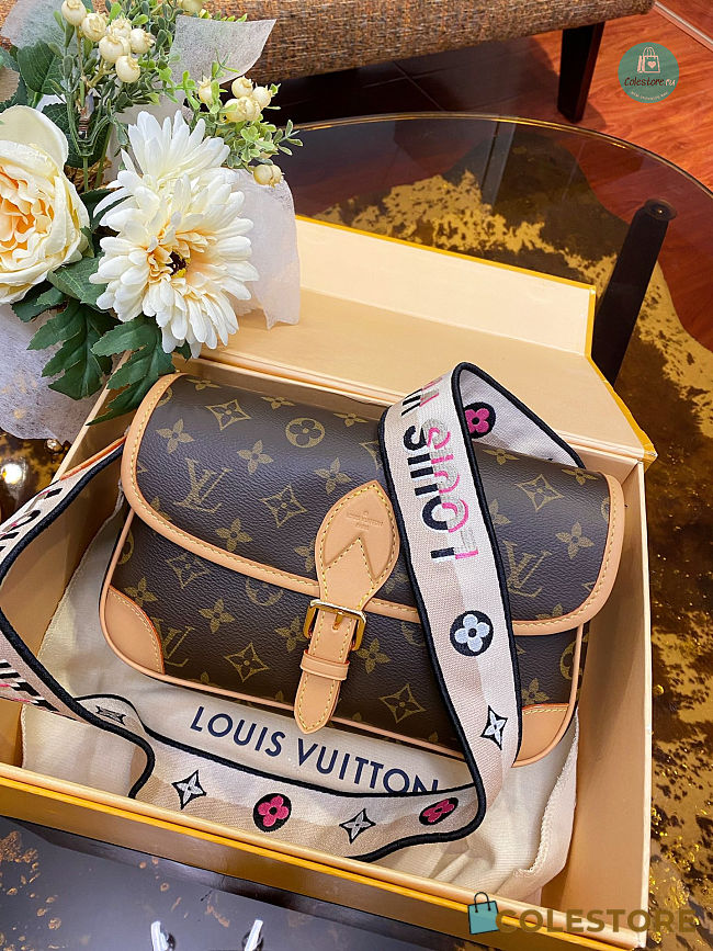 Louis Vuitton Diane Monogram Crossbody bag 25.0 × 9.0 × 15.0 cm - 1