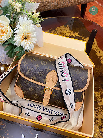 Louis Vuitton Diane Monogram Crossbody bag 25.0 × 9.0 × 15.0 cm