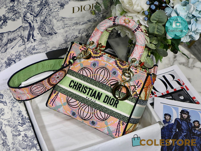 Dior Lady D-Lite Bag Multicolor Tie & Dior Embroidery 24x 20x 11 cm - 1
