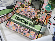 Dior Lady D-Lite Bag Multicolor Tie & Dior Embroidery 24x 20x 11 cm - 6