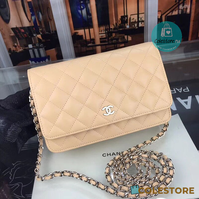 Chanel Wallet On Chain WOC Cream 19 x 12.5 cm - 1
