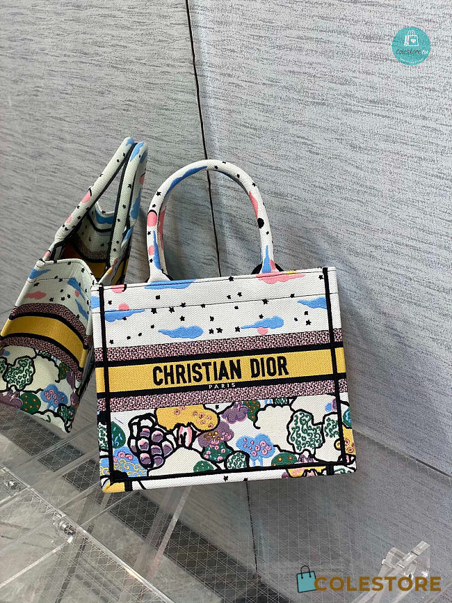 Dior Book Tote Latte Dior Ciel de Reeve Embroidery 26.5x8x22cm - 1