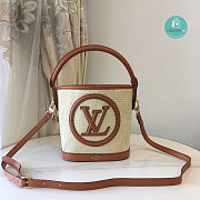 Louis Vuitton Petit Bucket Bag Raffia In Brown 24 x 19 x 18.5 cm - 1