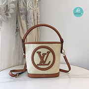 Louis Vuitton Petit Bucket Bag Raffia In Brown 24 x 19 x 18.5 cm - 3