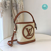Louis Vuitton Petit Bucket Bag Raffia In Brown 24 x 19 x 18.5 cm - 4