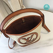 Louis Vuitton Petit Bucket Bag Raffia In Brown 24 x 19 x 18.5 cm - 5