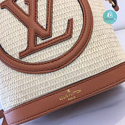 Louis Vuitton Petit Bucket Bag Raffia In Brown 24 x 19 x 18.5 cm - 6