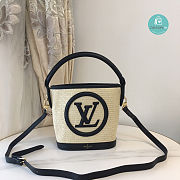 Louis Vuitton Petit Bucket Bag Raffia In Black 24 x 19 x 18.5 cm - 1