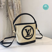 Louis Vuitton Petit Bucket Bag Raffia In Black 24 x 19 x 18.5 cm - 5