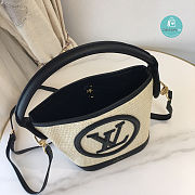 Louis Vuitton Petit Bucket Bag Raffia In Black 24 x 19 x 18.5 cm - 3