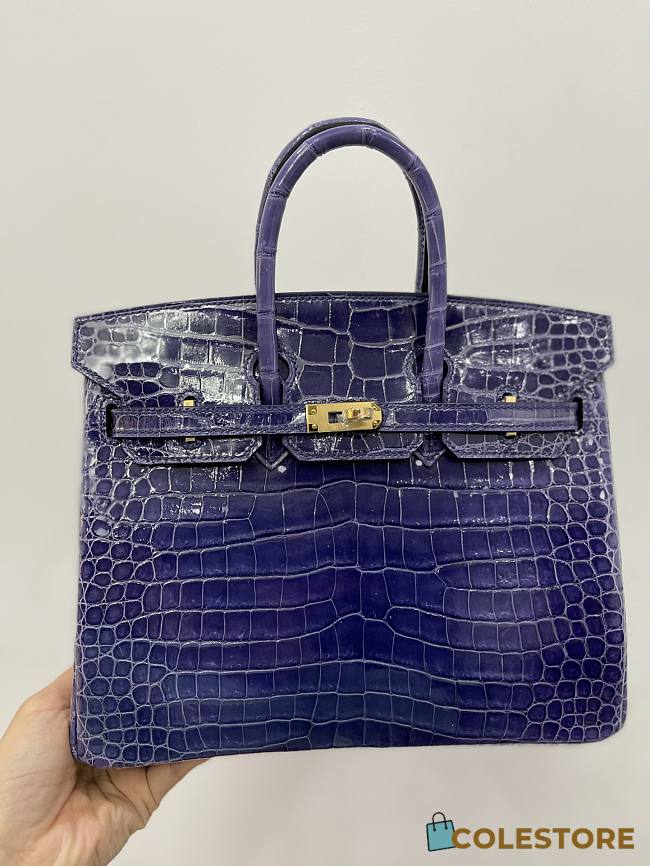 Hermes Birkin Matte Crocodile 25cm - 1