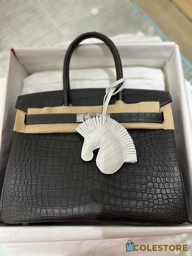 Hermes Birkin Matte Crocodile In Black 30cm - 1