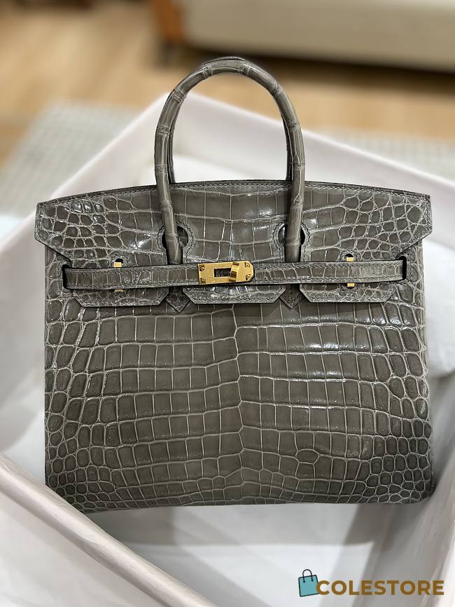 Hermes Birkin Shinny Crocodile Leather 25cm - 1