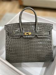 Hermes Birkin Shinny Crocodile Leather 25cm - 1
