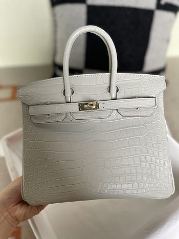 Hermes Birkin Crocodile Leather In Grey 25cm