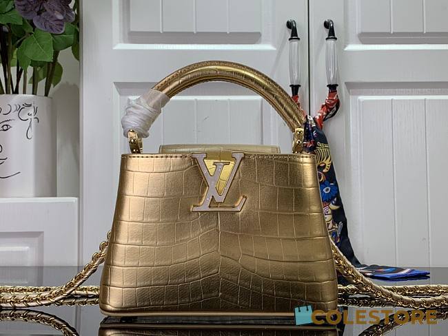 Louis Vuitton Crocodile Pattern CAPUCINES Handbag In Gold 21x14x8cm - 1