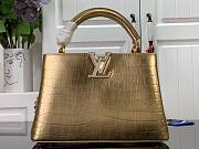 Louis Vuitton Crocodile Pattern CAPUCINES Handbag In Gold 27x18x9 cm - 1